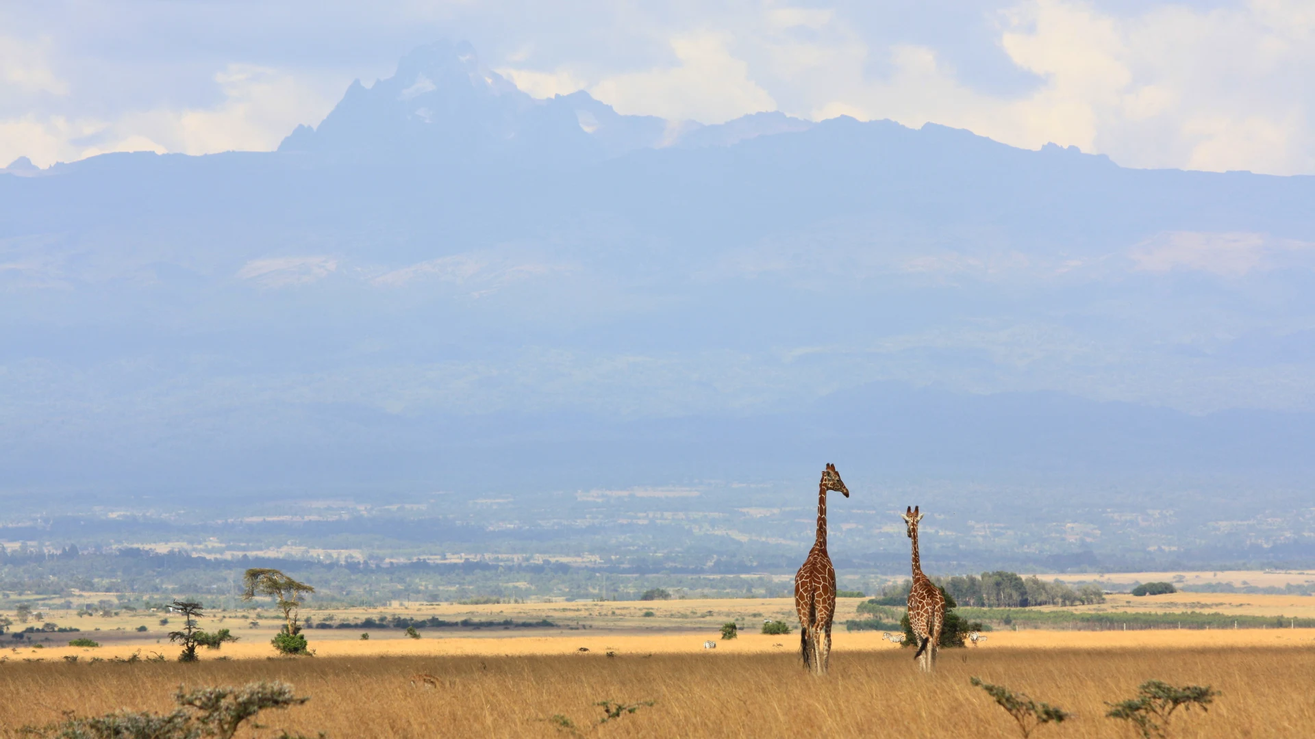 Mt Kenya and Aberdare National Park